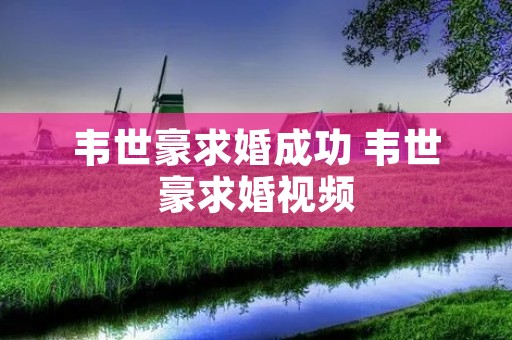 韦世豪求婚成功 韦世豪求婚视频