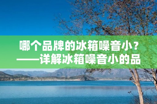 哪个品牌的冰箱噪音小?——详解冰箱噪音小的品牌选择 哪个品牌的冰箱噪音小?——详解冰箱噪音小的品牌选择