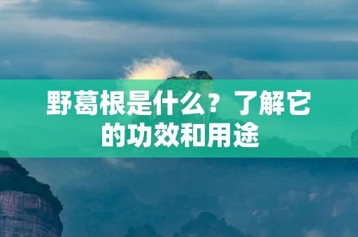 野葛根是什么?了解它的功效和用途