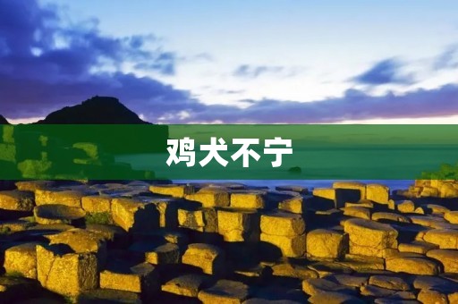 鸡犬不宁:城市噪音污染引发的生态危机