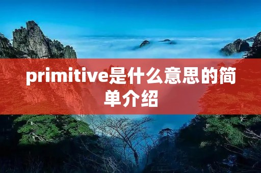 primitive是什么意思的简单介绍 primitive是什么意思的简单介绍