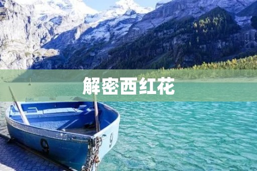 解密西红花:一种神奇的花卉 解密西红花:一种神奇的花卉