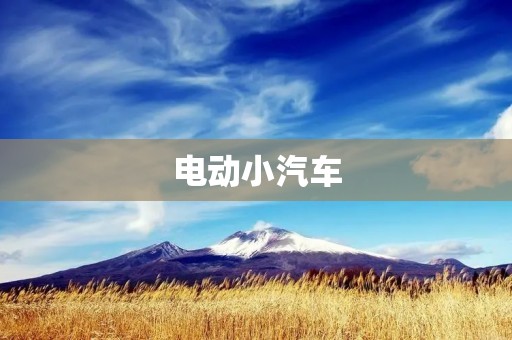 电动小汽车：未来出行的主流选择