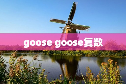 goose goose复数
