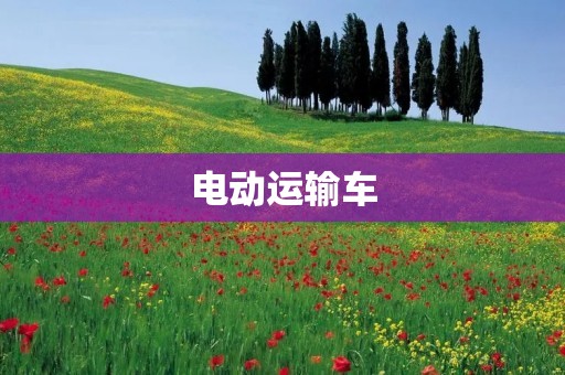 电动运输车:未来城市物流的趋势 电动运输车:未来城市物流的趋势