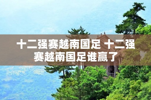 十二强赛越南国足 十二强赛越南国足谁赢了 十二强赛越南国足 十二强赛越南国足谁赢了
