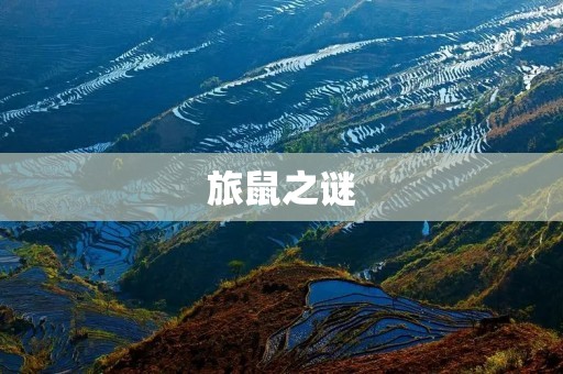 旅鼠之谜:探寻小动物的神秘世界