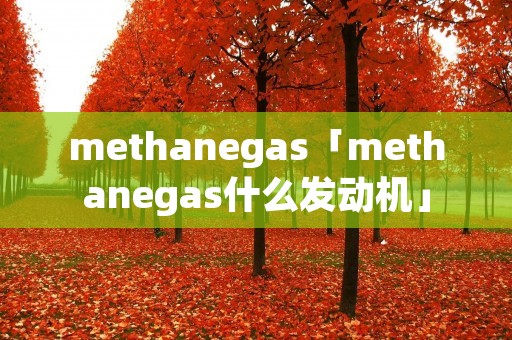 methanegas「methanegas什么发动机」