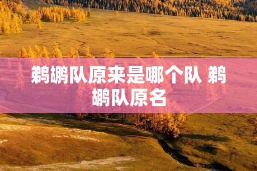 鹈鹕队原来是哪个队 鹈鹕队原名