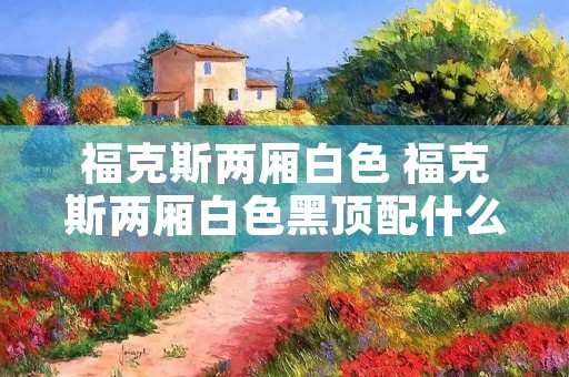 福克斯两厢白色 福克斯两厢白色黑顶配什么颜色反光镜好看