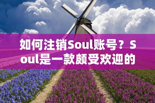 如何注销Soul账号？Soul是一款颇受欢迎的社交应用，但有时候我们可能需要注销自己的账号。本文将详细介绍如何注销Soul账号。