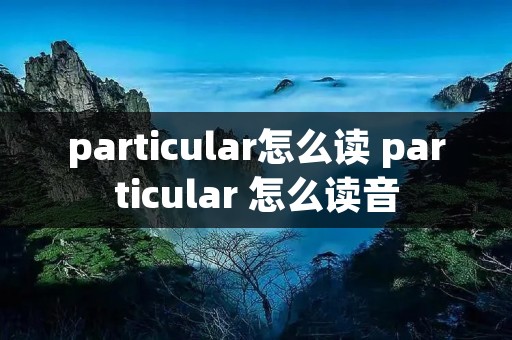 particular怎么读 particular 怎么读音