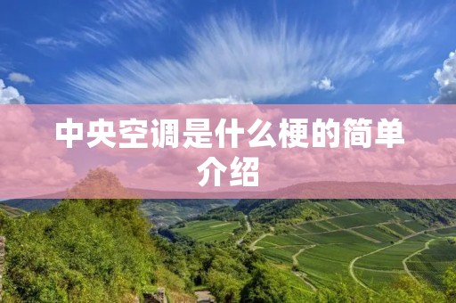 中央空调是什么梗的简单介绍 中央空调是什么梗的简单介绍