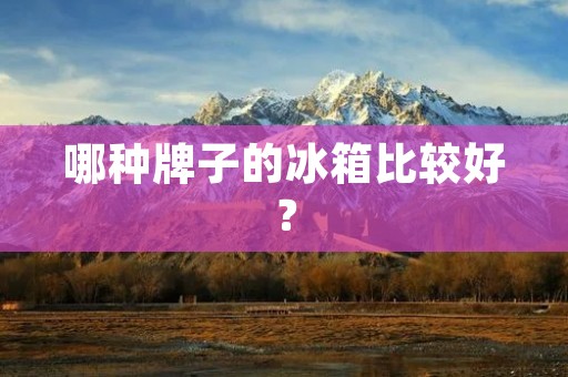 哪种牌子的冰箱比较好？