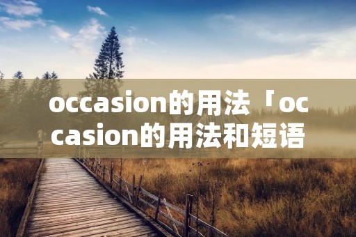 occasion的用法「occasion的用法和短语」