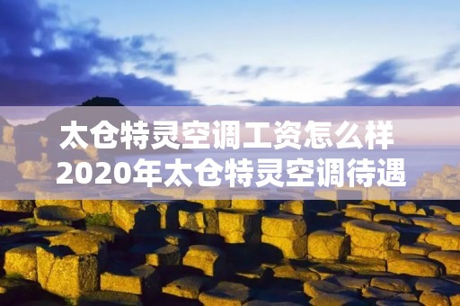 太仓特灵空调工资怎么样 2020年太仓特灵空调待遇