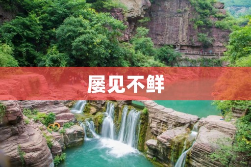 屡见不鲜：从现象到原因探究