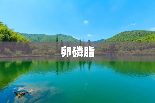 卵磷脂：神奇的脂质分子