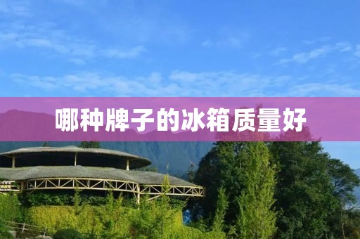 哪种牌子的冰箱质量好