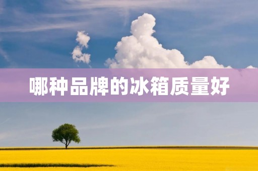 哪种品牌的冰箱质量好 哪种品牌的冰箱质量好