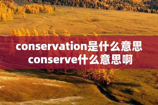 conservation是什么意思 conserve什么意思啊