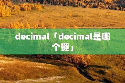 decimal「decimal是哪个键」