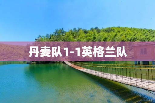 丹麦队1-1英格兰队：欧洲杯半决赛激战