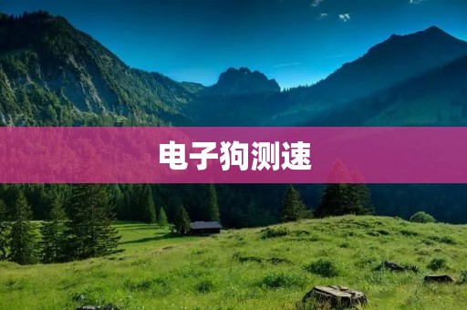 电子狗测速:让驾车更安全 电子狗测速:让驾车更安全