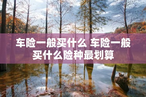 车险一般买什么 车险一般买什么险种最划算