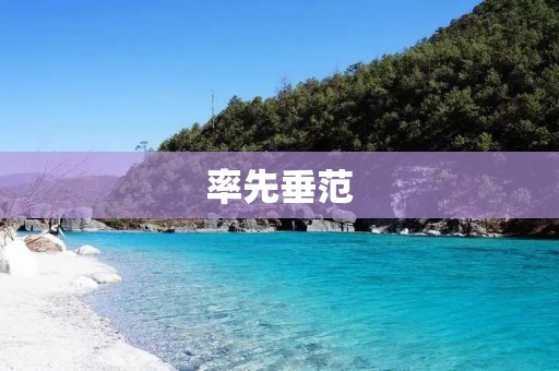 率先垂范：如何成为行业的领导者
