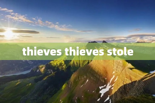 thieves thieves stole