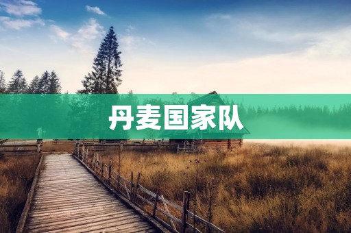 丹麦国家队:北欧足球的光辉之师 丹麦国家队:北欧足球的光辉之师