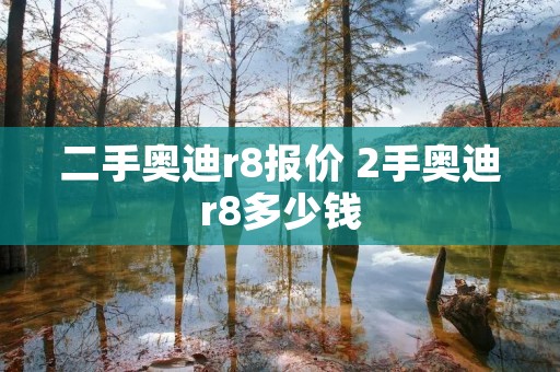 二手奥迪r8报价 2手奥迪r8多少钱 二手奥迪r8报价 2手奥迪r8多少钱