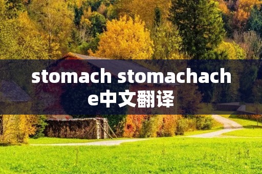 stomach stomachache中文翻译