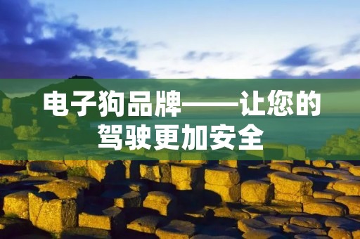 电子狗品牌——让您的驾驶更加安全 电子狗品牌——让您的驾驶更加安全