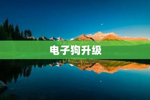 电子狗升级:让驾驶更安全、更便捷 电子狗升级:让驾驶更安全、更便捷