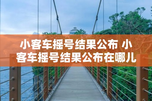 小客车摇号结果公布 小客车摇号结果公布在哪儿查询结果?