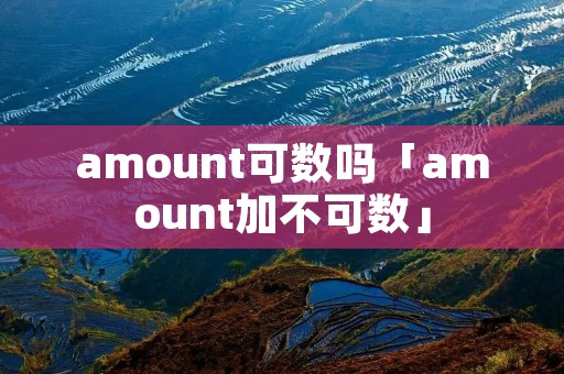 amount可数吗「amount加不可数」