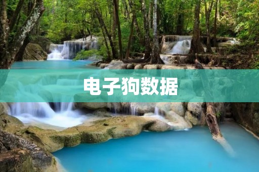 电子狗数据：安全驾驶的重要保障