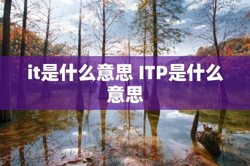 it是什么意思 ITP是什么意思