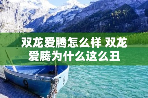 双龙爱腾怎么样 双龙爱腾为什么这么丑