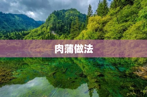 肉蒲做法：美味的烤肉好吃不贵