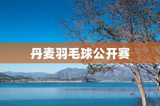 丹麦羽毛球公开赛:世界羽坛的一场盛宴 丹麦羽毛球公开赛:世界羽坛的一场盛宴
