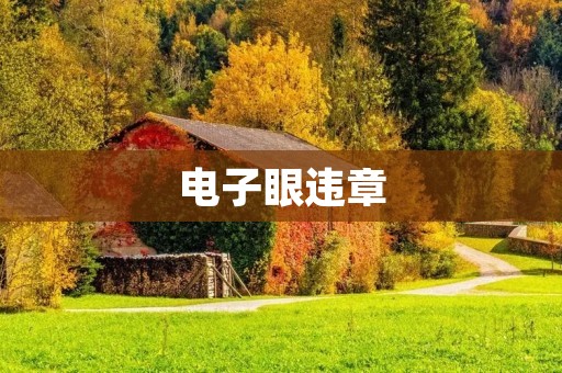 电子眼违章：隐患与解决之策