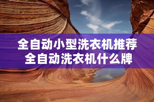 全自动小型洗衣机推荐 全自动洗衣机什么牌子的最好