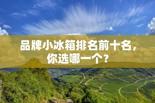 品牌小冰箱排名前十名,你选哪一个? 品牌小冰箱排名前十名,你选哪一个?