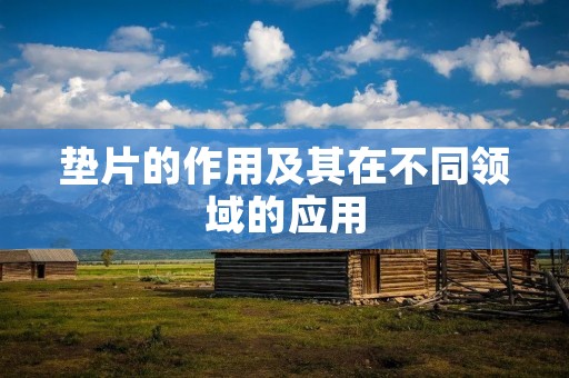 垫片的作用及其在不同领域的应用 垫片的作用及其在不同领域的应用