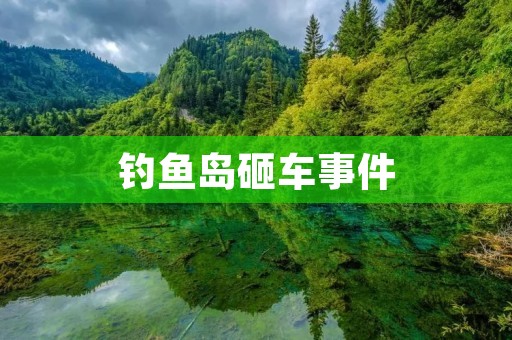 ***砸车事件：挑战国家尊严的行为