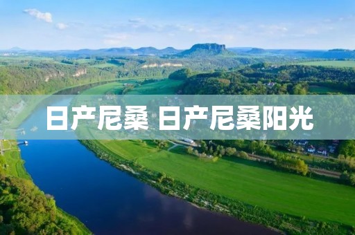 日产尼桑 日产尼桑阳光