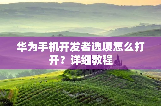 华为手机开发者选项怎么打开？详细教程
